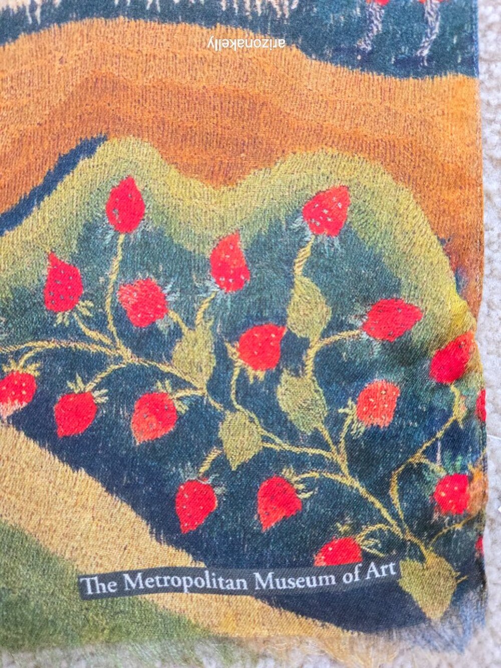 NWT The Met Modal Cashmere Scarf American Folk Art Museum - Picture 10 of 15